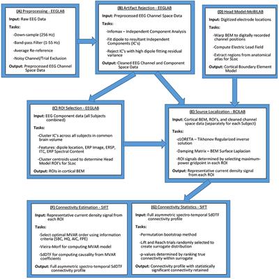 EEG-Based Quantification of Cortical Current Density and Dynamic Causal Connectivity Generalized across Subjects Performing BCI-Monitored Cognitive Tasks